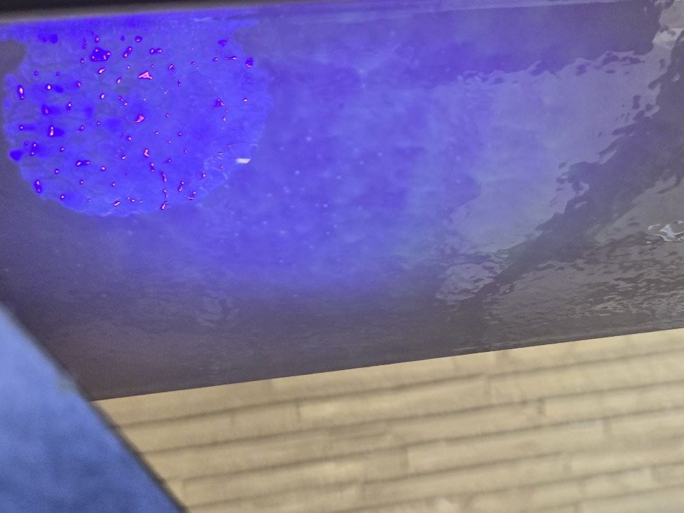 付帯/ブラックライト照射